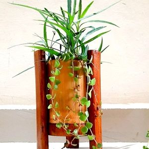 Bamboo home decor and kitchenware products